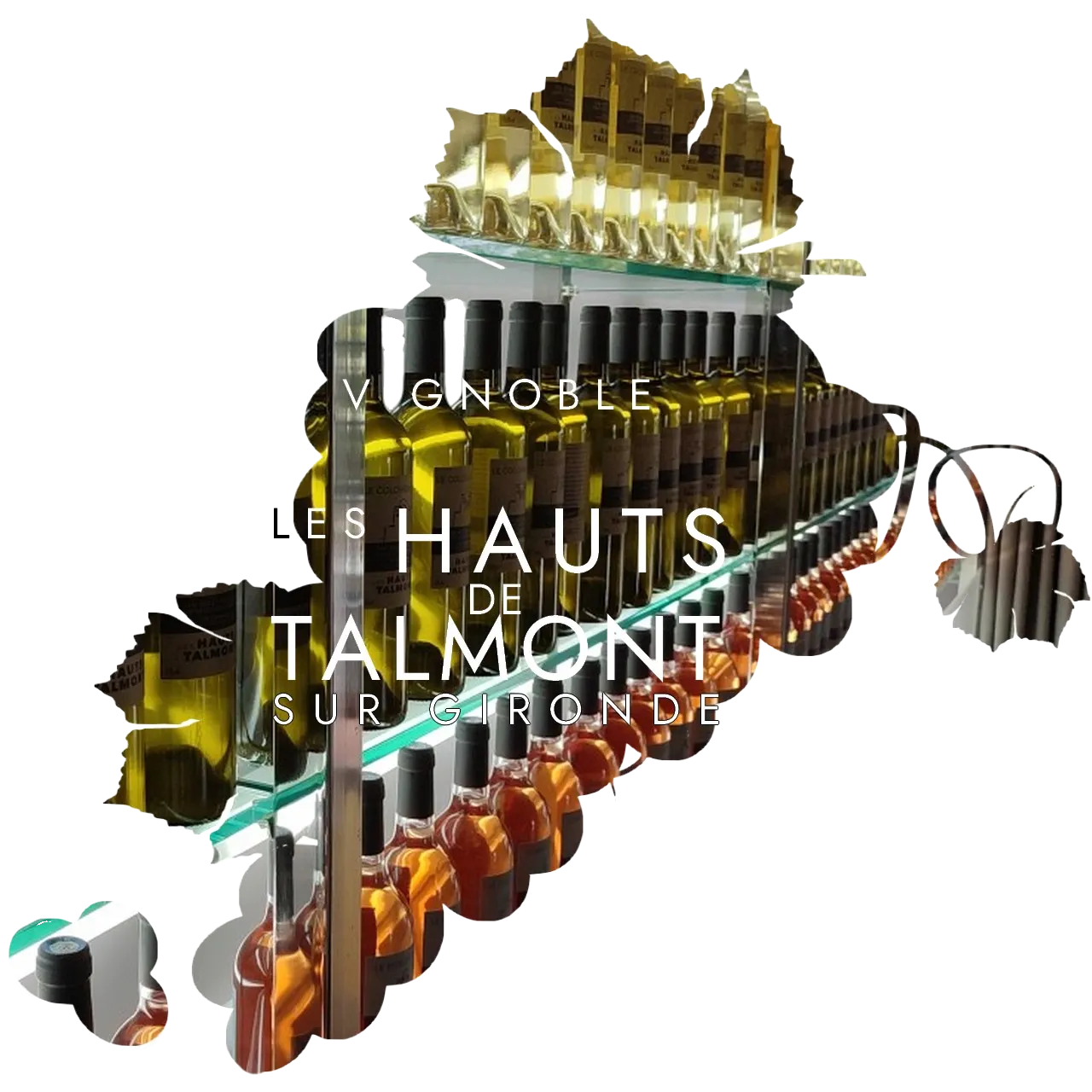 boutique-encepagement-les-hauts-de-talmont