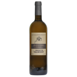 Bouteille de vin blanc du Domaine les Hauts de Talmont, Colombard n°1